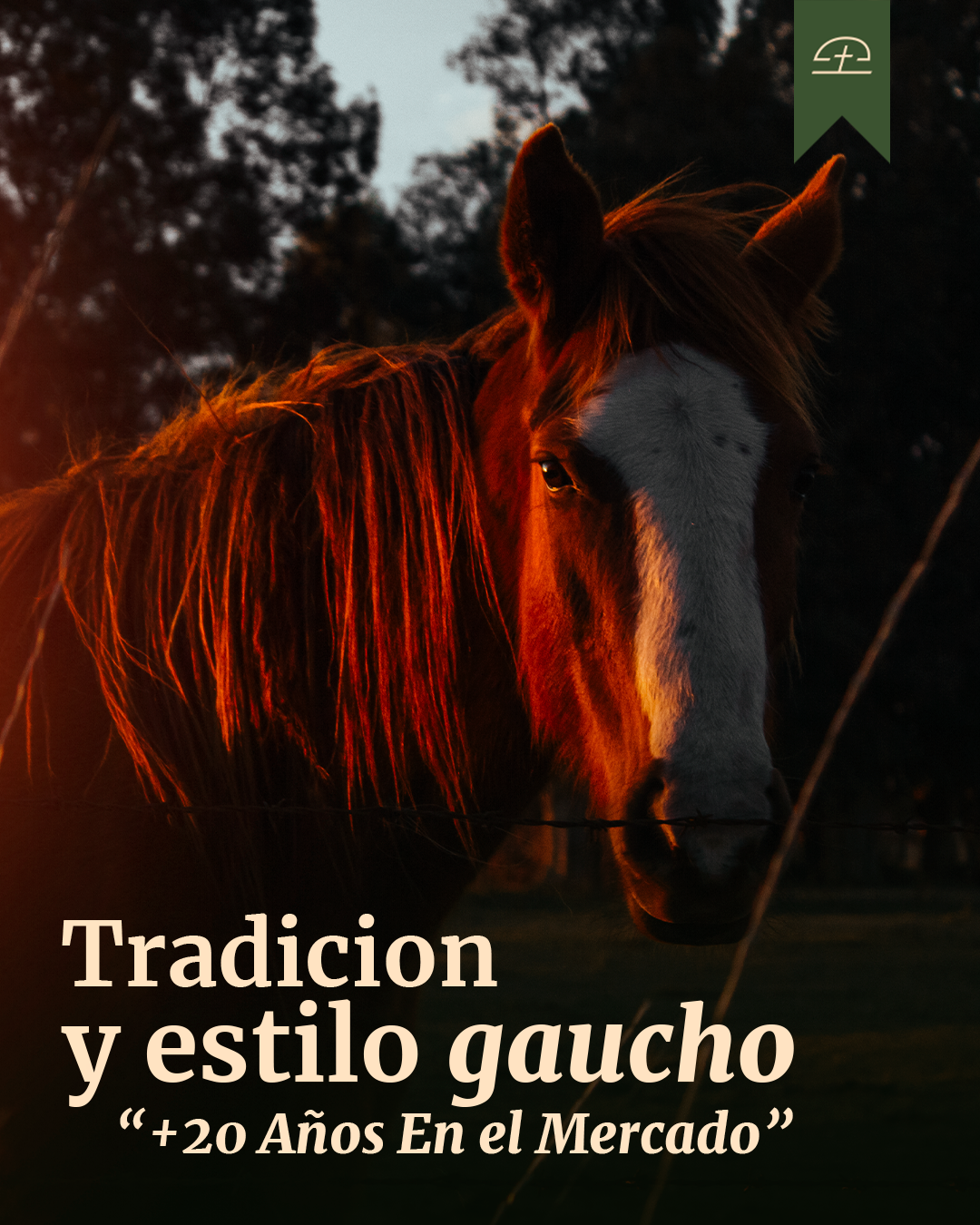 Mobile Banner